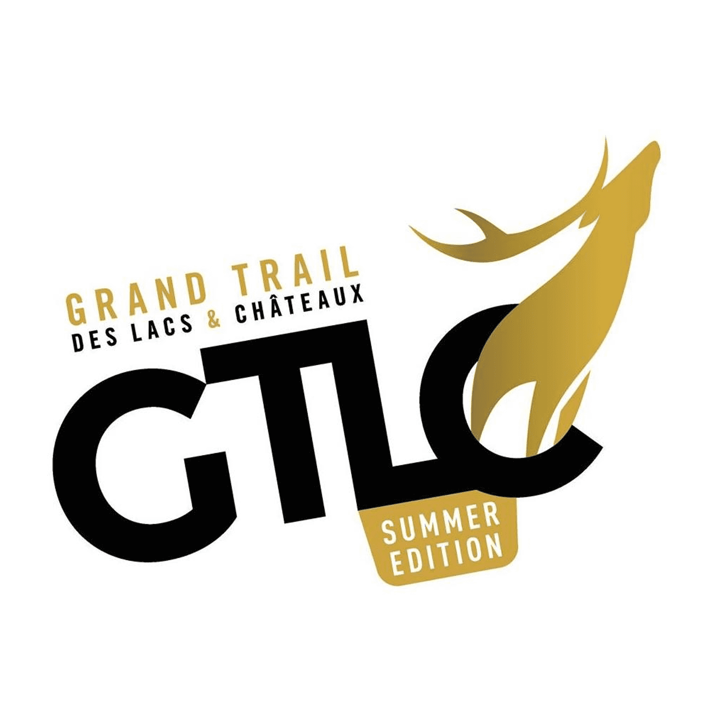 Logo GTLC Summer
