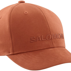 Salomon Logo