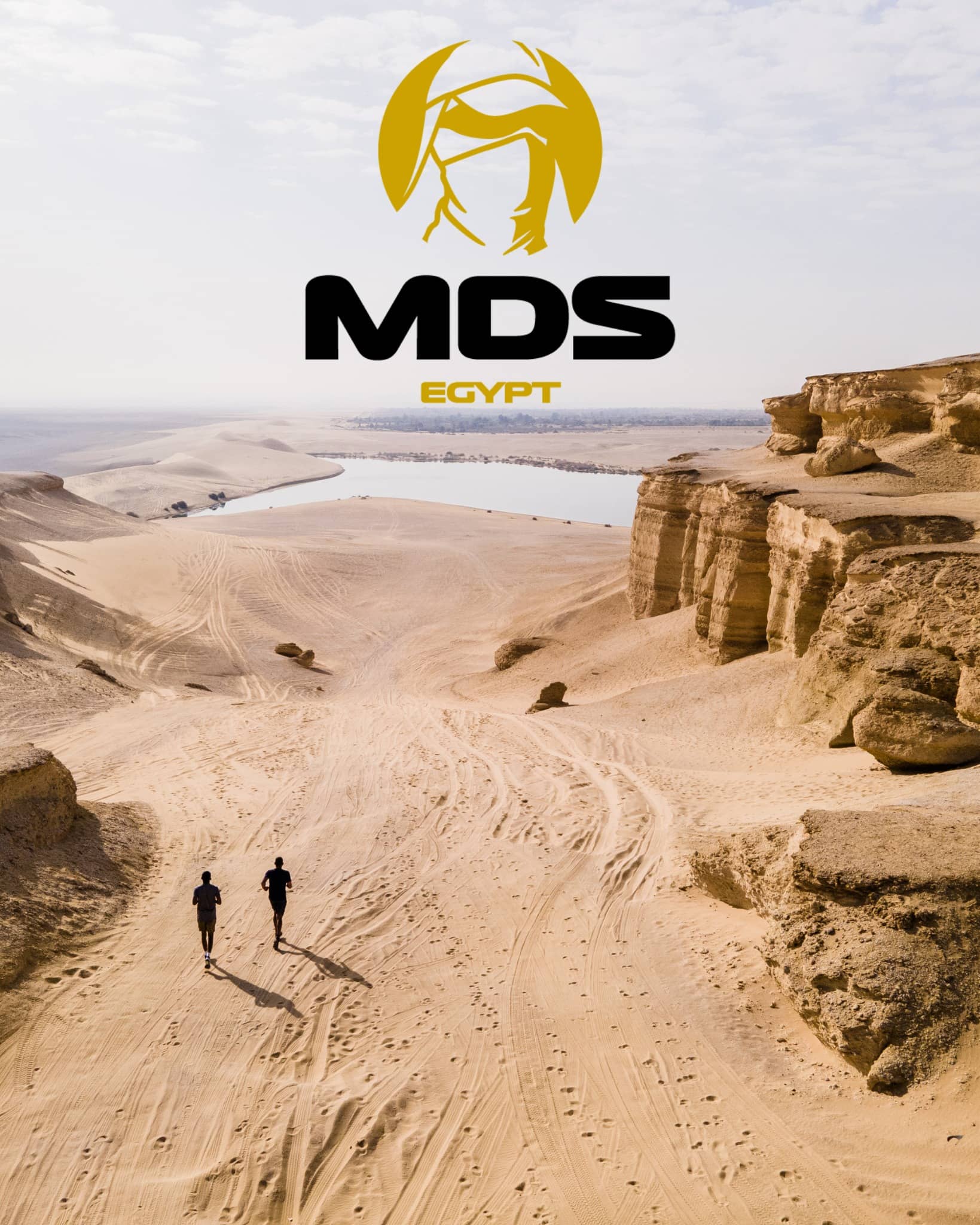 MDS Egypt