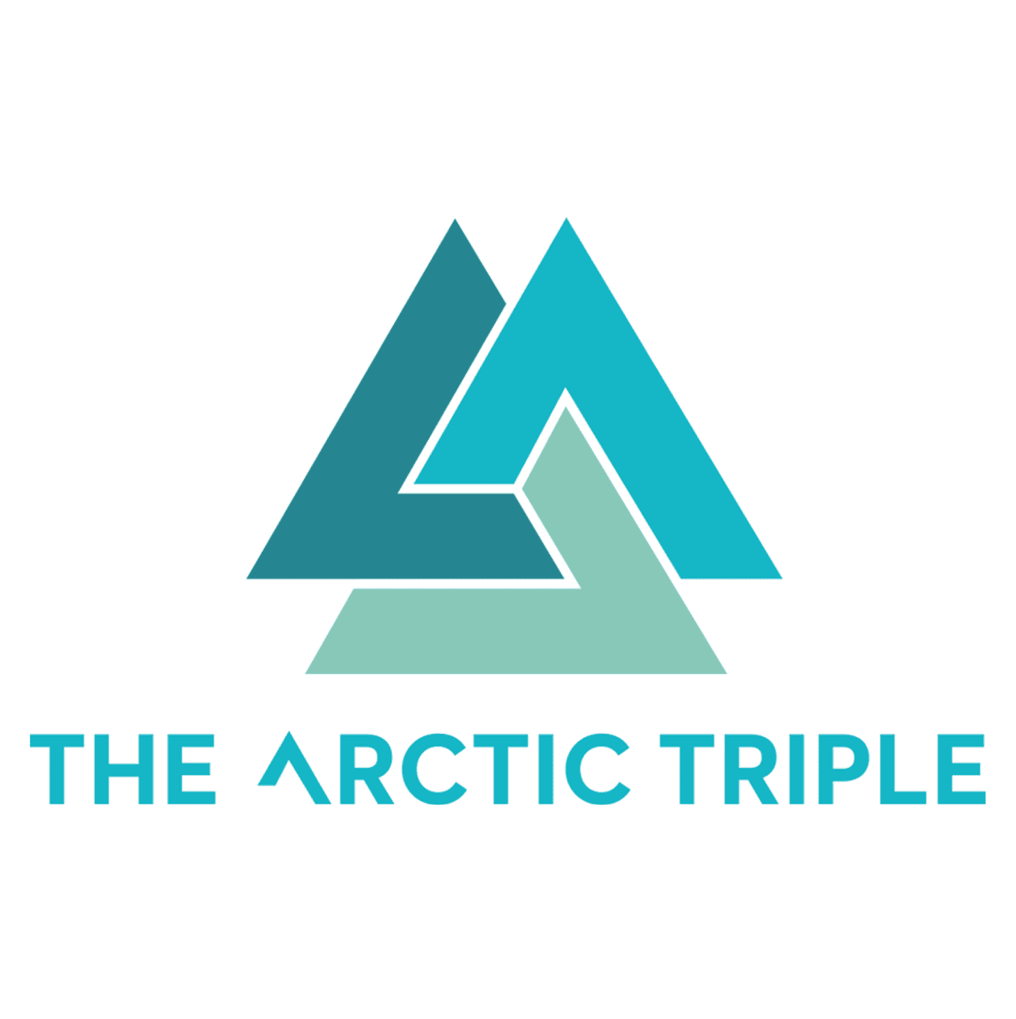 Logo The Arctic Triple Lofoten Ultra-Trail