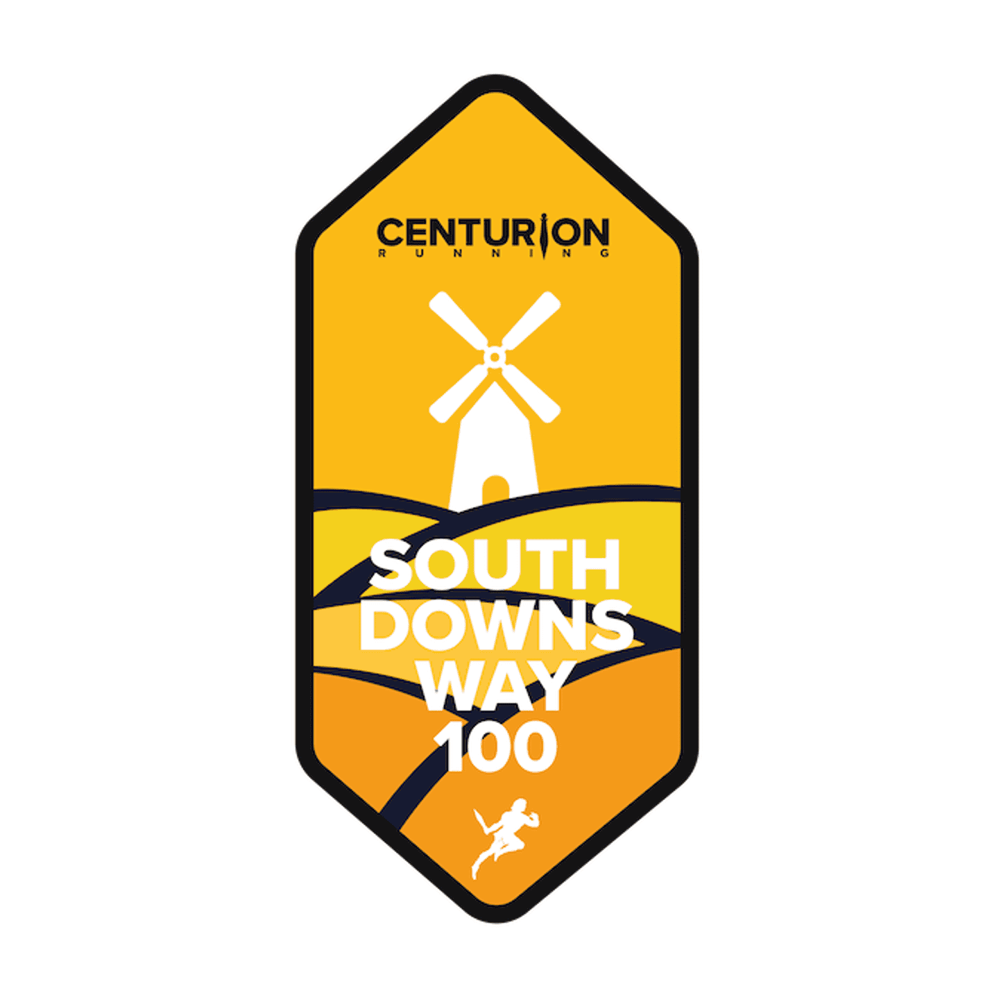 Logo South Downs Way 100