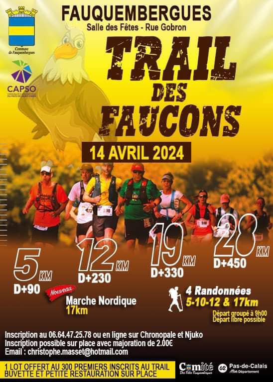 Affiche-Trail-des-Faucons