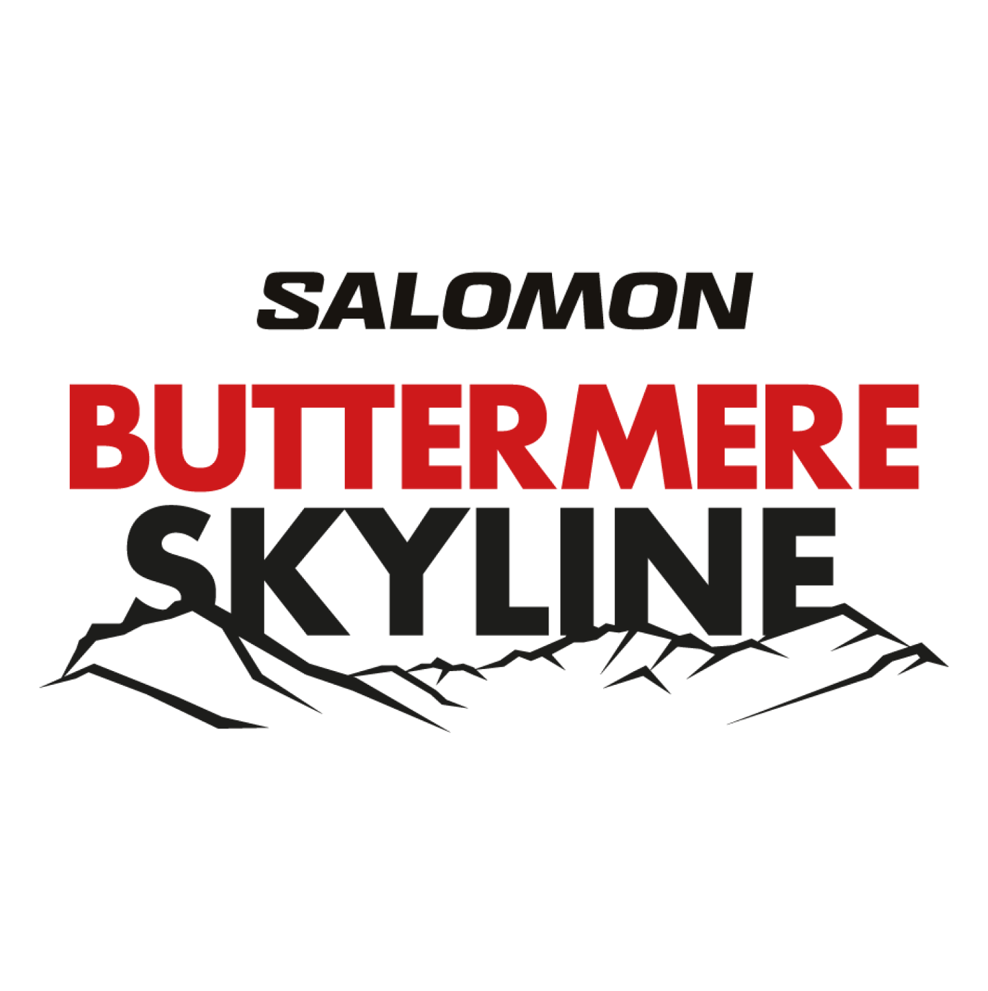Logo-Buttermere-Skyline