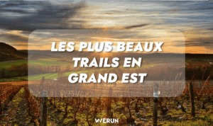 Lire la suite à propos de l’article Les plus beaux trails en Grand Est