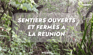 Lire la suite à propos de l’article Sentiers fermés à La Réunion